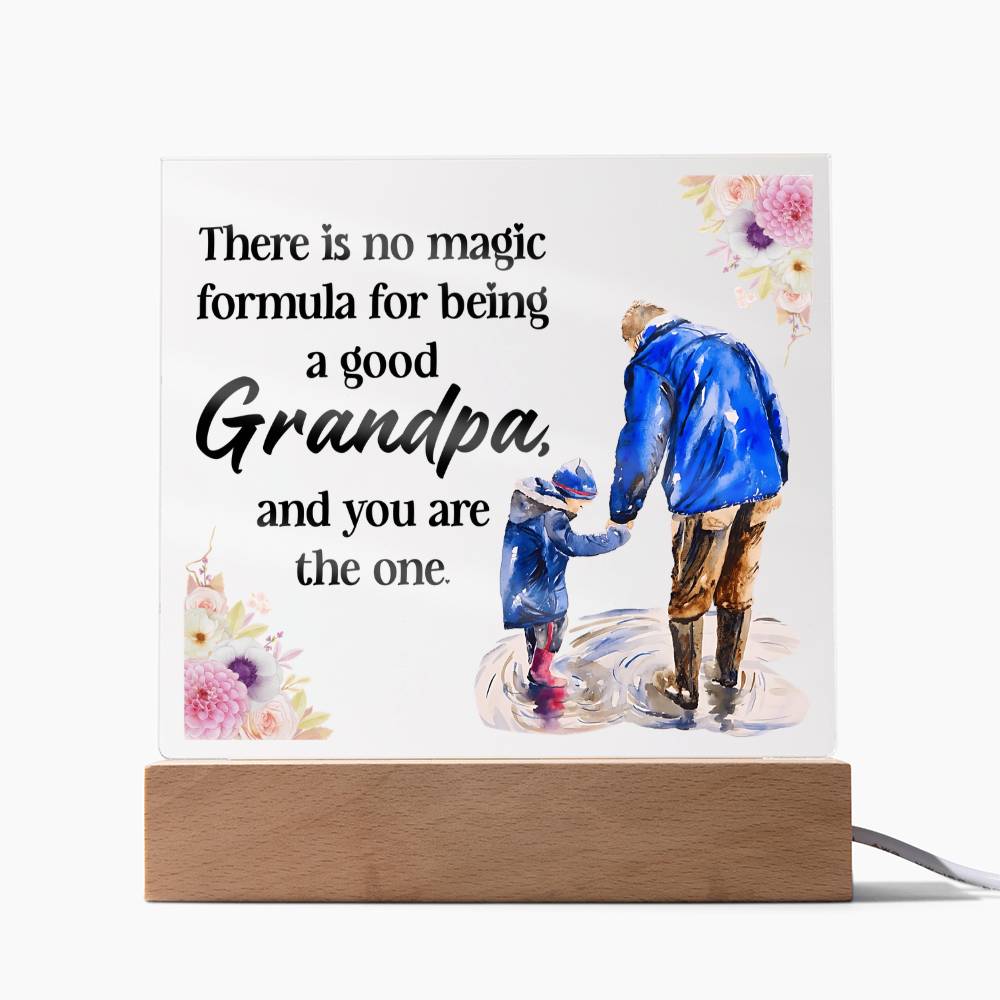 Square acrylic Grandpa and grandson display with wood base, wired LED lighting