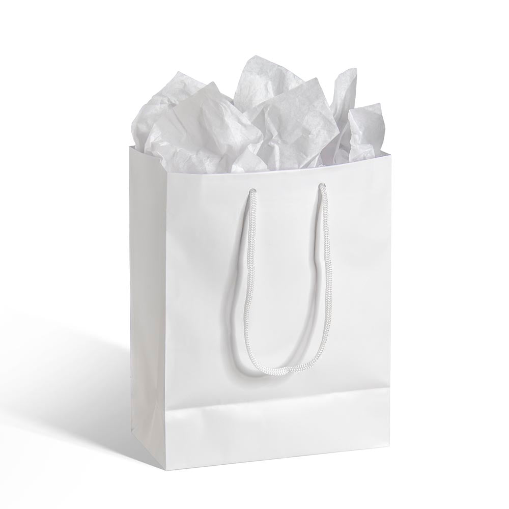 Medium white paper gift bag with twisted rope handles and crumpled tissue
